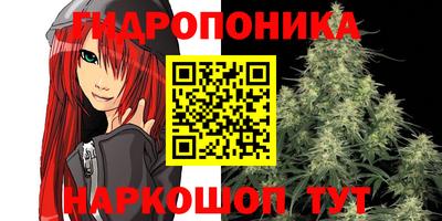 прущие грибы Туймазы