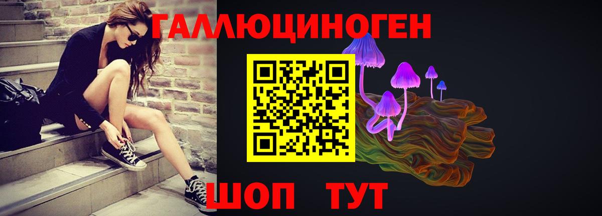 Псилоцибиновые грибы прущие грибы Жуковский
